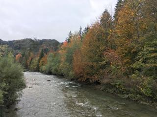 Pêche à la rivière du Foron