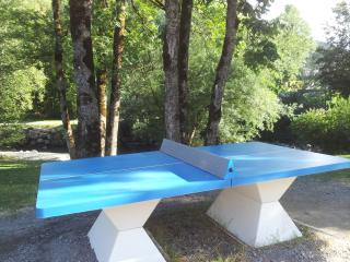 Ping-pong : tables au Village