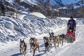 Baptême - balade en traîneau à chiens
