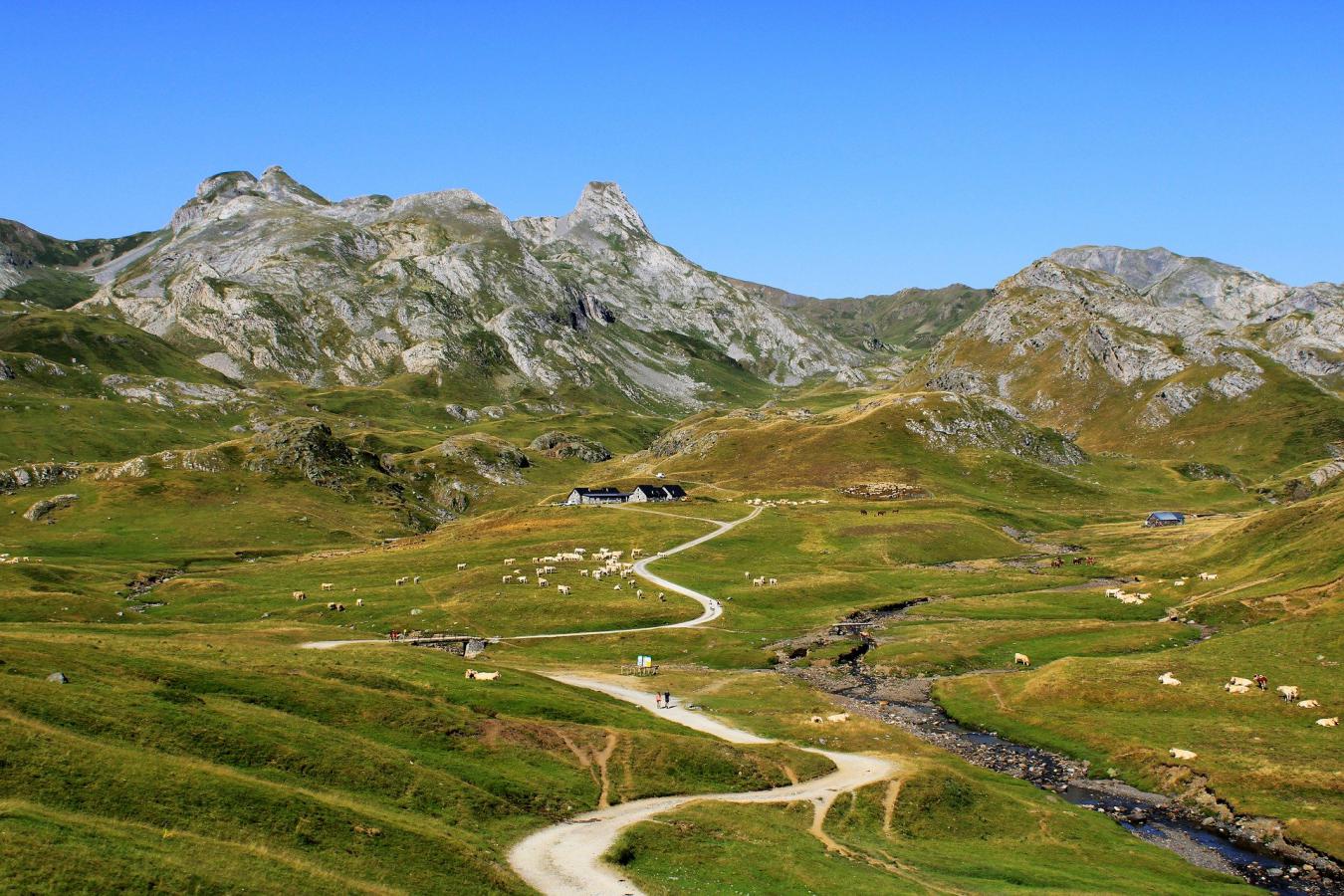 Connaissez-vous les fromages des Pyrénées ? Connaissez-vous les fromages des Pyrénées ?