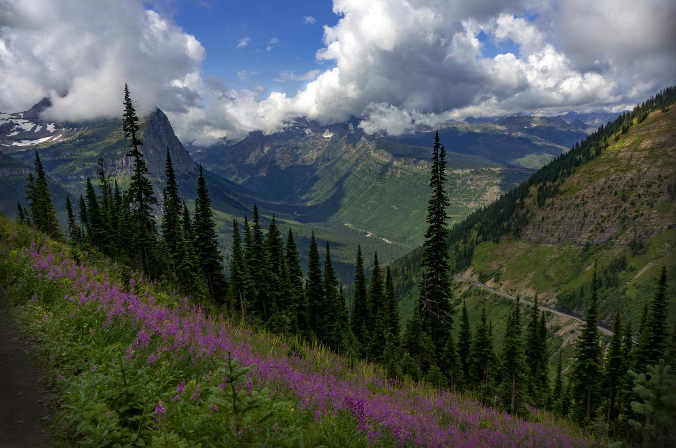 Les Fleurs De Montagne Lactualité Des Stations De