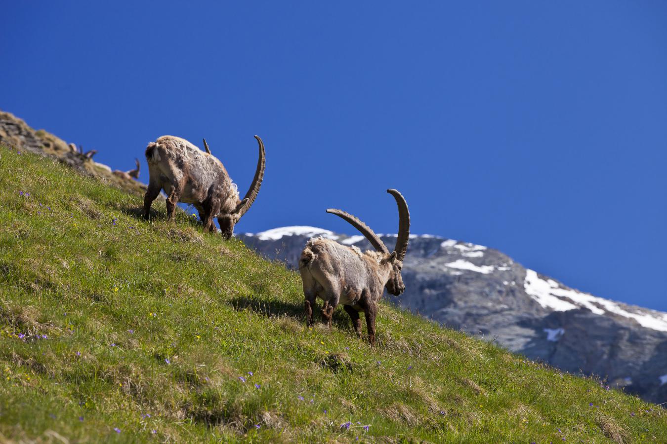 Quels sont les parcs nationaux de France ? Quels sont les parcs nationaux de France ?