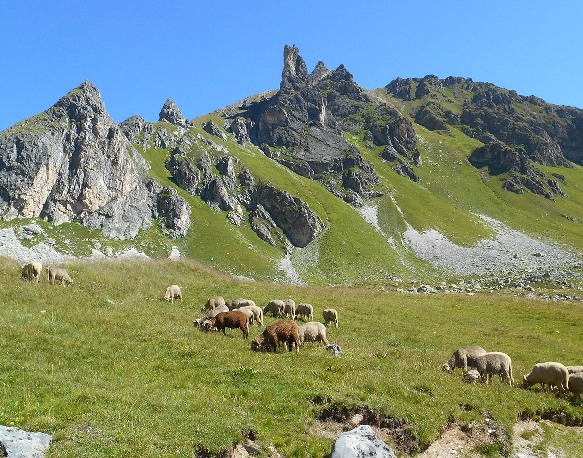 Top 10 des bons réflexes à adopter en montagne Top 10 des bons réflexes à adopter en montagne