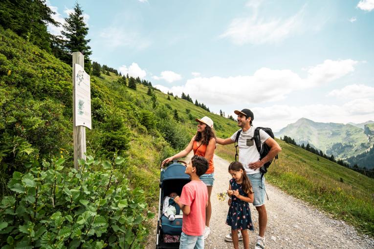 10 balades faciles à faire avec des enfants en bas âge  