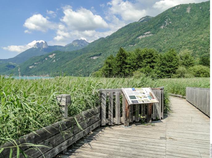 Lac d'Annecy : top 5 des activités à découvrir cet été