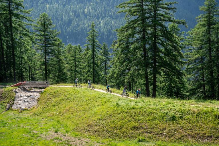 Où faire du VTT en famille : les meilleurs parcours pour enfants 