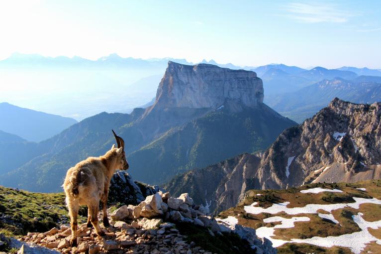 Partez en séjour dans le Vercors et découvrez ses trésors