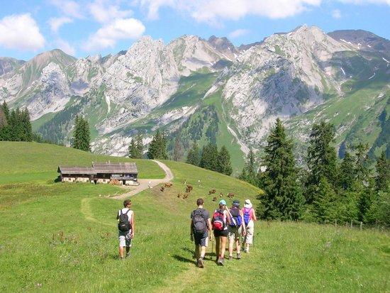 Quoi faire l’été dans le Massif des Aravis : le guide pour toute la famille