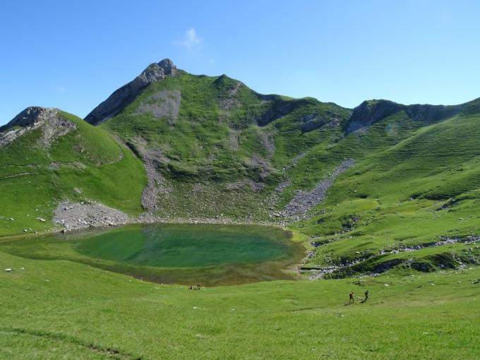 Quoi faire l’été dans le Massif des Aravis : le guide pour toute la famille