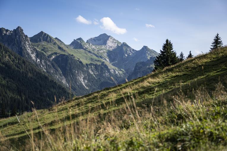 Quoi faire l’été dans le Massif des Aravis : le guide pour toute la famille