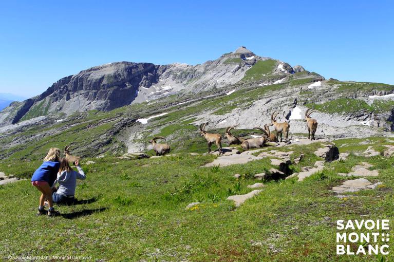 Top 5 pour partir en Savoie Mont Blanc cet été