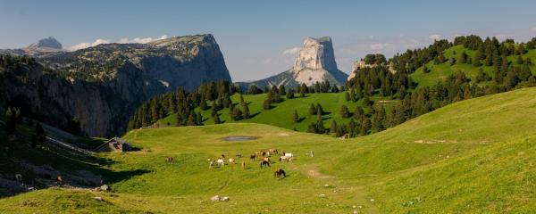 Partez en séjour dans le Vercors et découvrez ses trésors