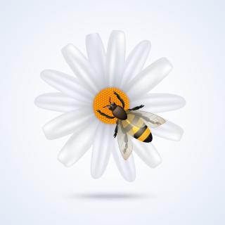 Jeu de l'abeille