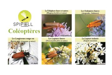 Exposition
