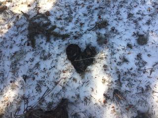 Animation environnement