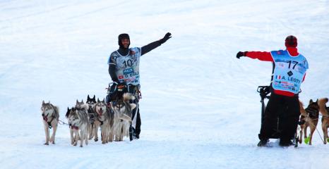 Lekkarod - Course internationale de chiens de traineau