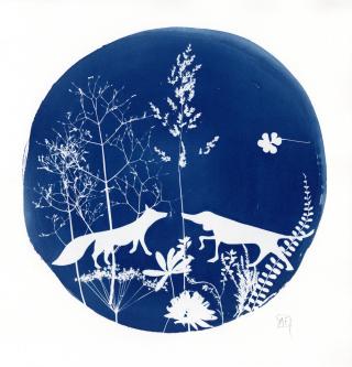 Atelier cyanotype