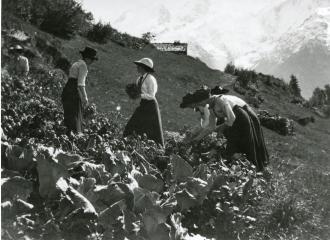 Atelier : Potager de papier