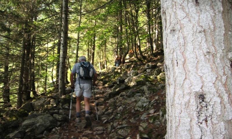 Wakacje w górach Camping Le Champ Long - La Salle-en-Beaumont - Na zewnątrz latem