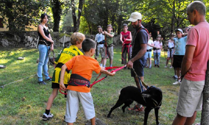 Vakantie in de bergen Camping Le Pas de l'Ours - Aston - Buiten zomer