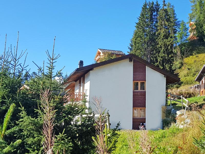 Vacanze in montagna Chalet Arnica - Thyon - Esteriore estate