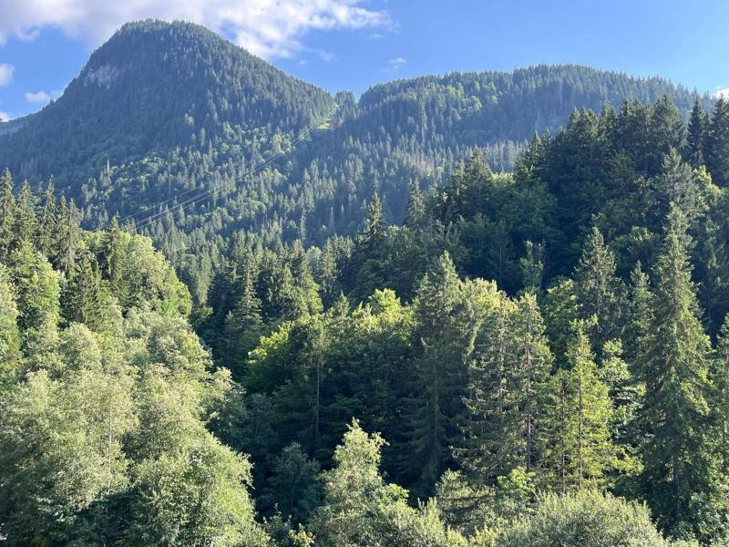 Urlaub in den Bergen Duplex Wohnung 5 Zimmer 8 Personnen - Chalet Bartlett - Morzine - Draußen im Sommer