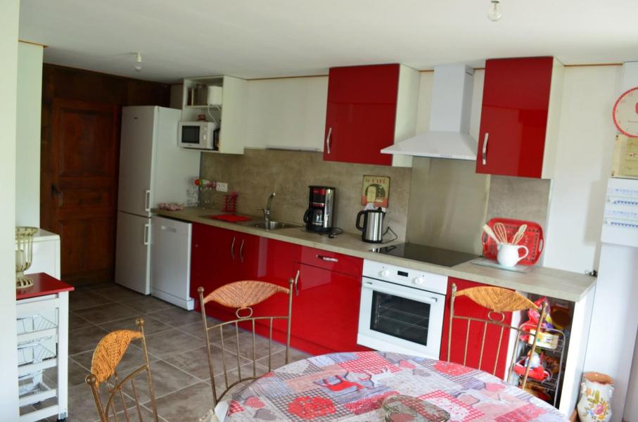 Vacanze in montagna Appartamento 2 stanze con cabina per 6 persone - Chalet CHEZ LA LOUISE - Châtel - Cucina