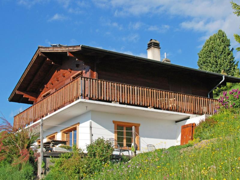 Vacanze in montagna Chalet CNY01 - Veysonnaz - Esteriore estate