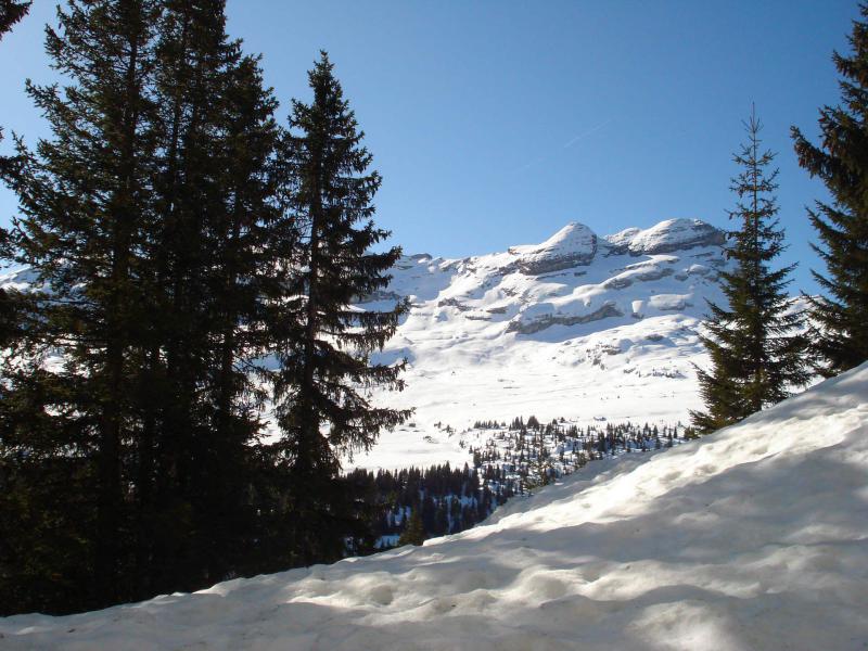 Vacances en montagne Studio 4 personnes (C2) - Chalet de l'Arbaron - Flaine