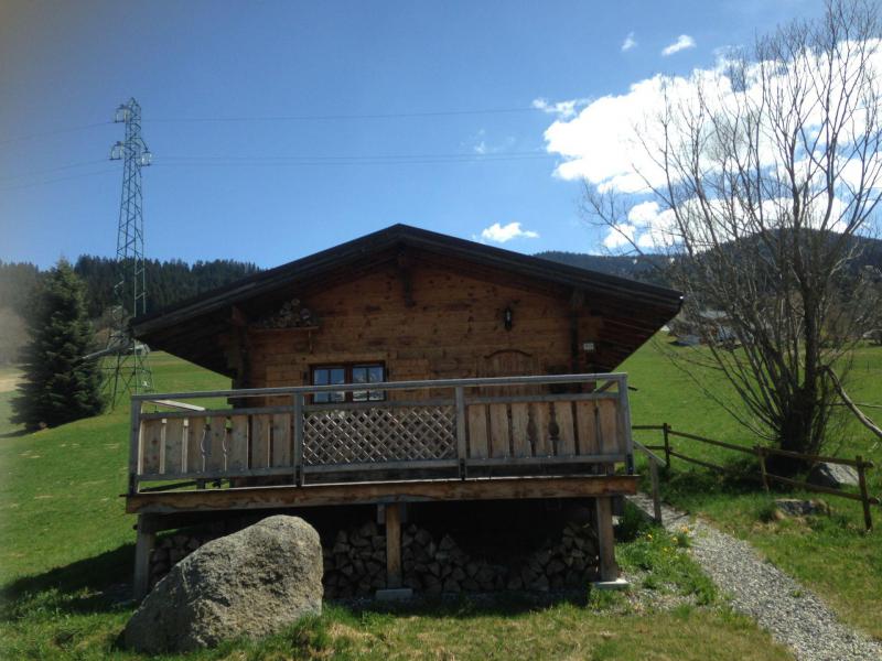 Vacanze in montagna Chalet de la Princesse - Combloux - Esteriore estate