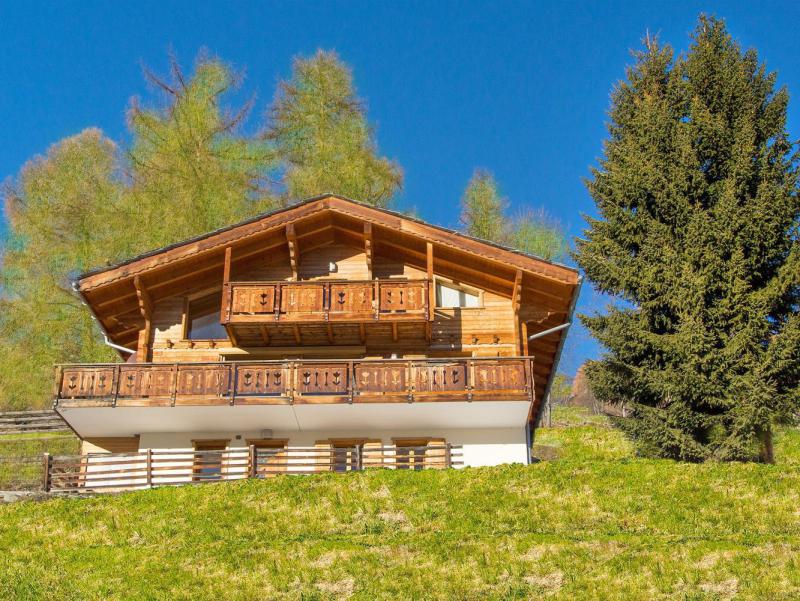 Rent in ski resort Chalet Greppon Blanc - Thyon - Summer outside