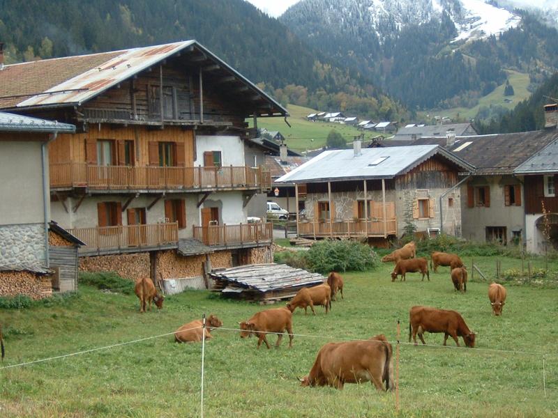 Urlaub in den Bergen 2-Zimmer-Appartment für 4 Personen (36166) - Chalet Le Bachal - Arêches-Beaufort - Draußen im Sommer