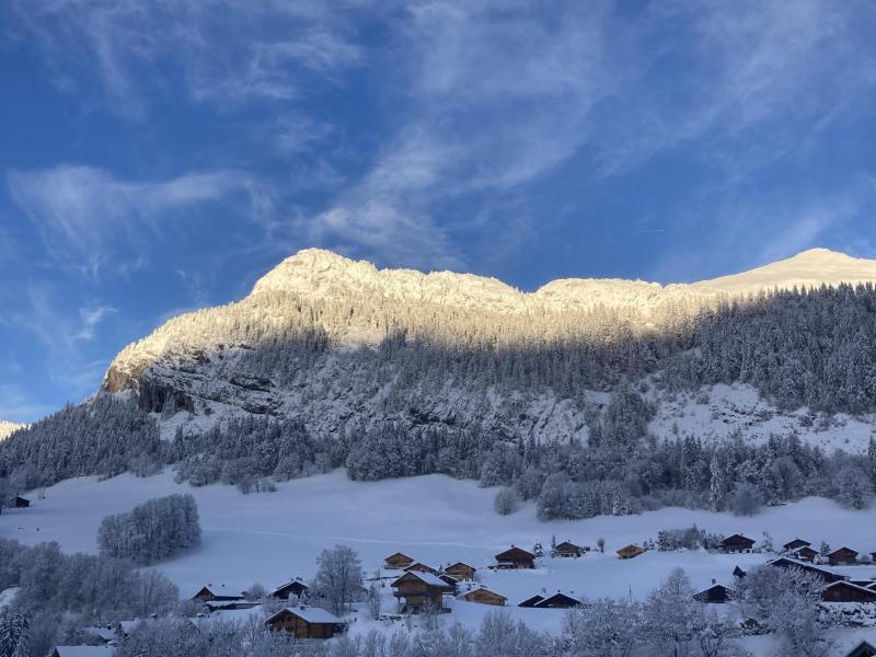 Vacances en montagne Appartement 3 pièces 4 personnes (304) - Chalet le Camy - Le Grand Bornand