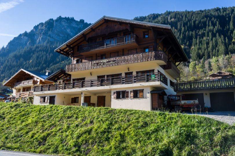 Vakantie in de bergen Chalet Le Petit Cornillon - Châtel - Buiten zomer