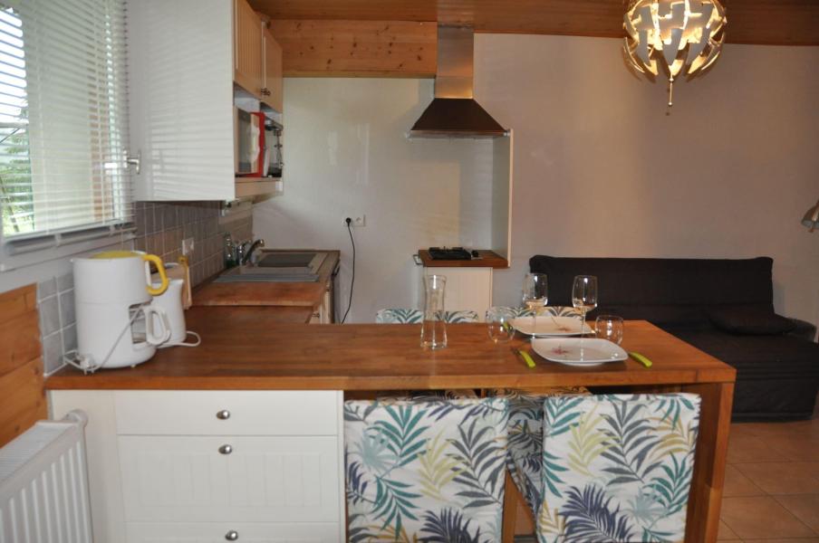 Holiday in mountain resort Studio 3 people - Chalet les Bouquetins - Châtel - Kitchen