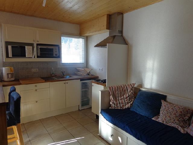 Vakantie in de bergen Studio 3 personen - Chalet les Bouquetins - Châtel - Keukenblok