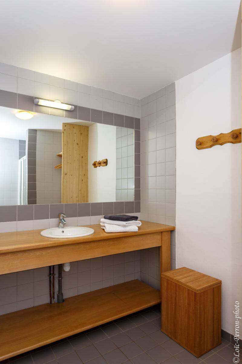 Holiday in mountain resort 7 room chalet 12 people (MTGSIN) - Chalet Montgésin - Montalbert - Shower room