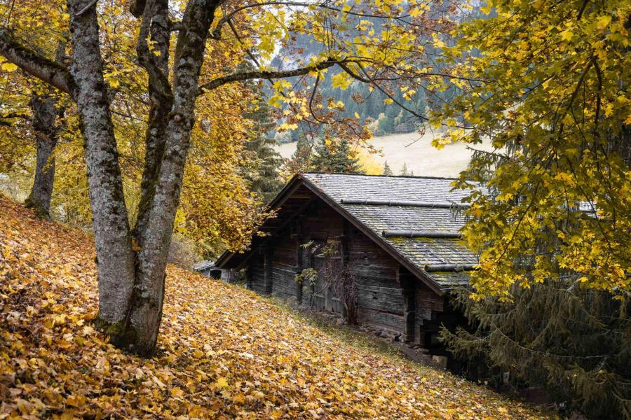 Vakantie in de bergen Chalet Noisetiers - La Clusaz - Buiten zomer