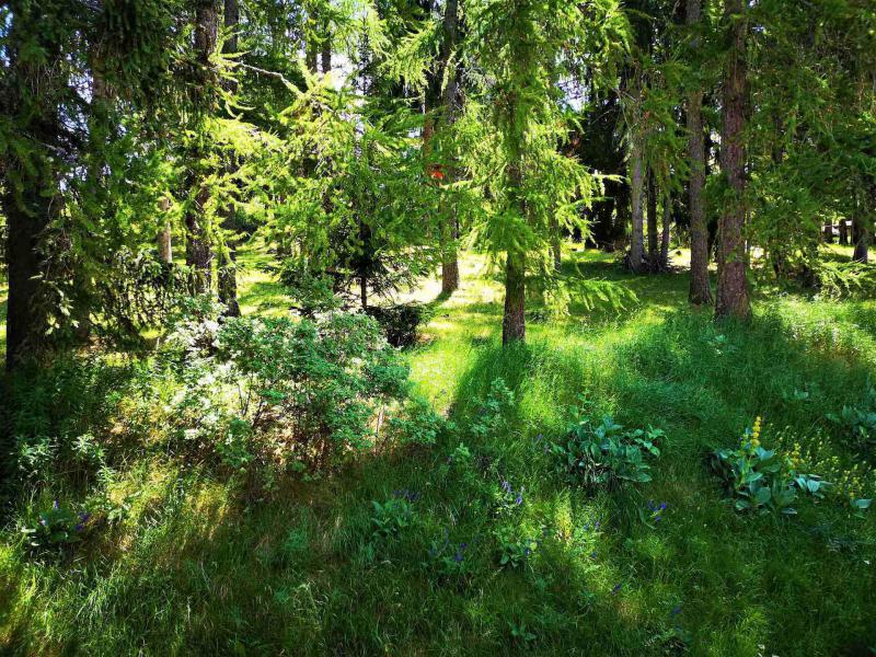 Wakacje w górach Domek górski pośredni 3 pokojowy dla 7 osób (11) - Chalets Les Flocons du Soleil - La Joue du Loup - Na zewnątrz latem