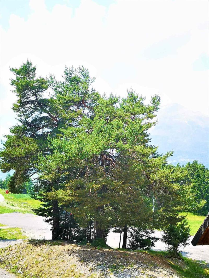 Vacances en montagne Chalet mitoyen 3 pièces 7 personnes (51) - Chalets Les Flocons du Soleil - La Joue du Loup