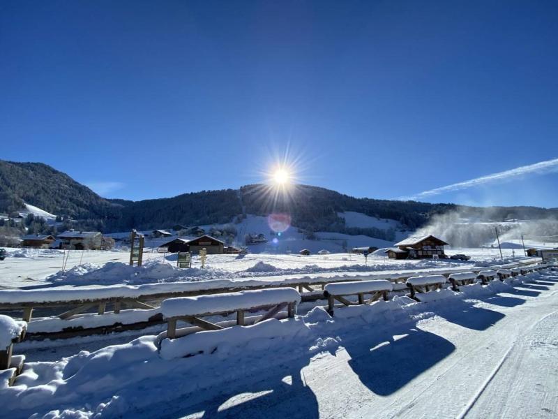 Vacanze in montagna Studio per 4 persone (B14) - HAUTS DE PRAZ - Praz sur Arly