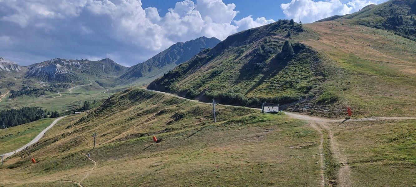 Alquiler al esquí Estudio para 4 personas (A2M38) - La Résidence Aime 2000 Chamois - La Plagne - Verano