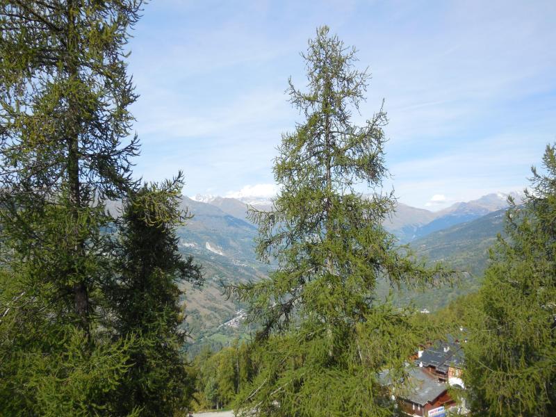 Vacanze in montagna Studio per 4 persone (016) - La Résidence la Lanterne - Montchavin La Plagne - Esteriore estate