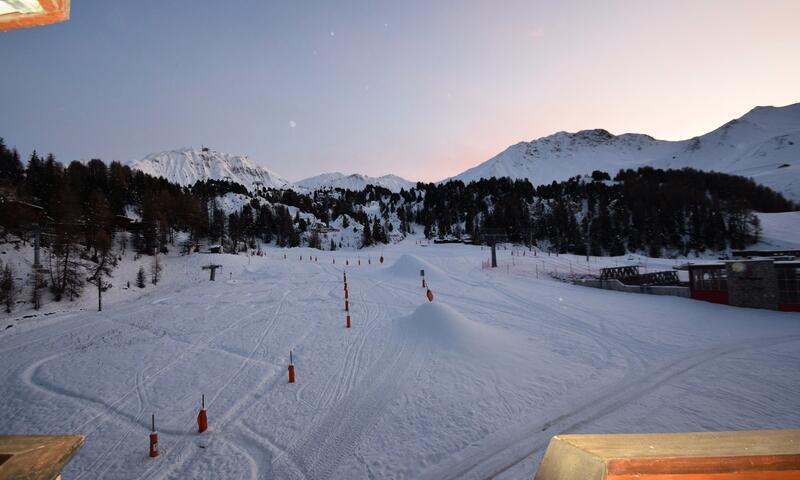 Wynajem na narty Studio 4 osoby (22m²-5) - La Résidence Le France - La Plagne - Na zewnątrz latem