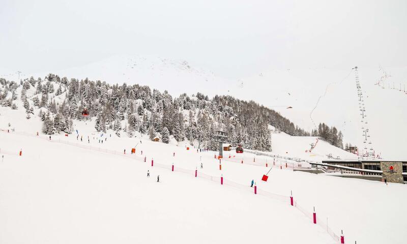 Soggiorno sugli sci Appartamento 3 stanze per 7 persone (42m²-5) - La Résidence Le France - La Plagne - Esteriore estate