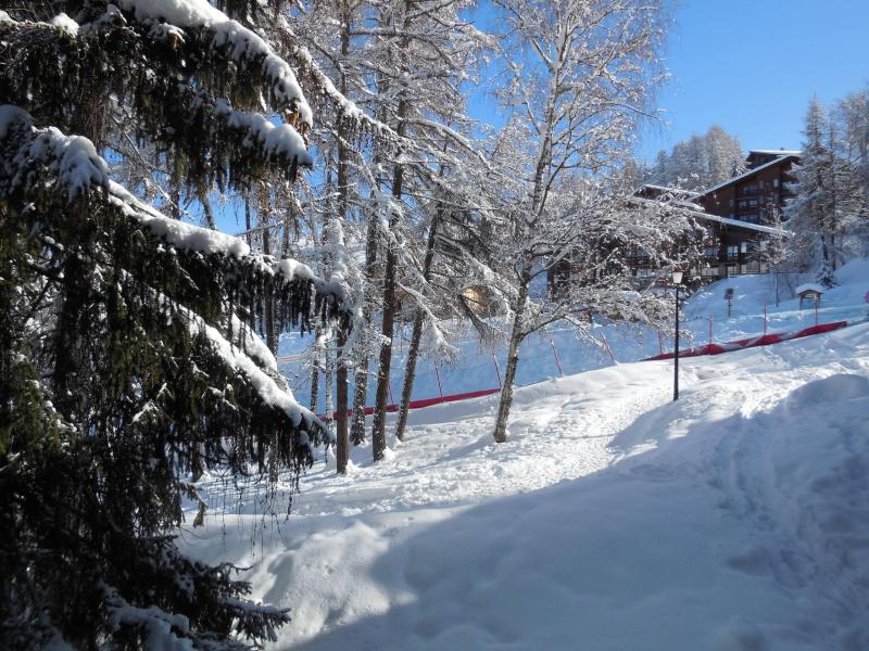 Vacanze in montagna Studio per 4 persone (027) - La Résidence les Pentes - Montchavin La Plagne