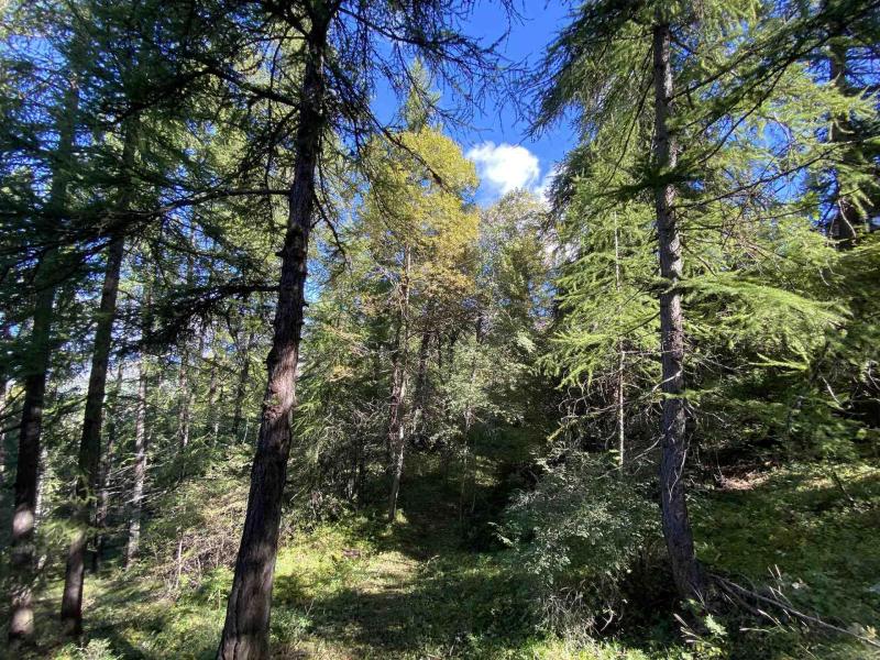 Vacanze in montagna Studio per 4 persone (ROC3) - La Roche Blanche - Les Orres - Balcone