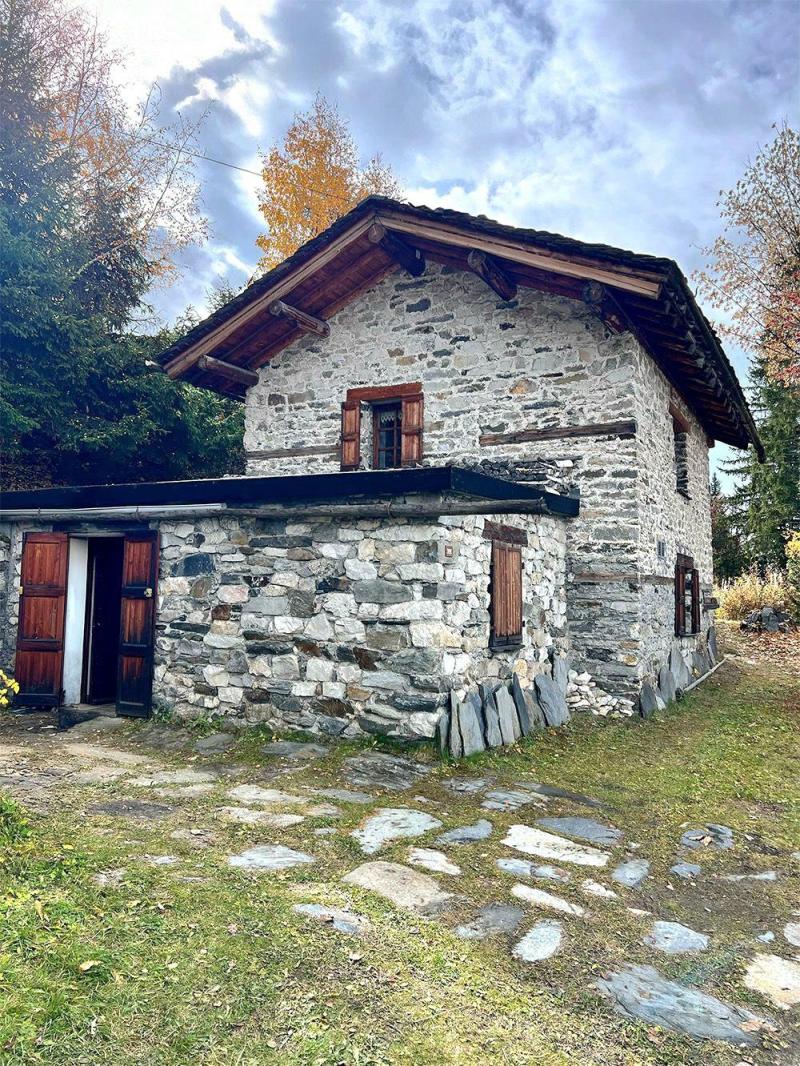 Vacances en montagne Le Chalet Blanc - Les Arcs - Extérieur été