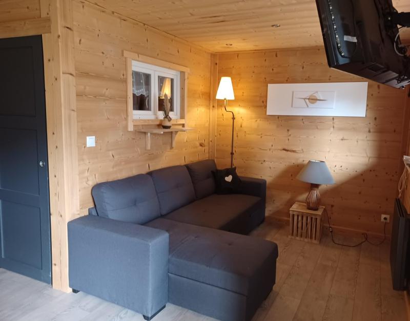 Vacaciones en montaña Apartamento cabina 2 piezas para 6 personas (D204) - Le Hameau des Aiguilles - Albiez Montrond - Estancia