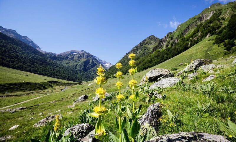 Vacances en montagne Le Malazéou Wellnesse Sport Camping - Ax-les-Thermes - Extérieur été